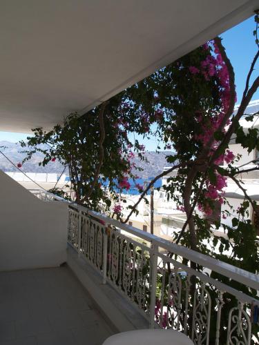 a balcony with a tree with pink flowers on it at Roses Studios in Karpathos Town