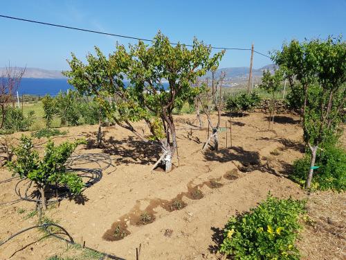 Φυσικό τοπίο κοντά σε αυτή η παραθεριστική κατοικία