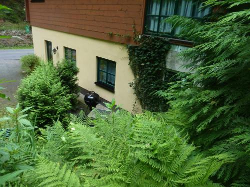 ein Gebäude mit grünen Pflanzen davor in der Unterkunft Ferienwohnung UHU neben der Schrammsteinbaude in Bad Schandau