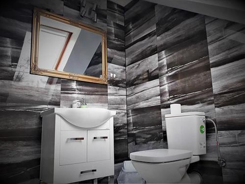 W łazience znajduje się toaleta, umywalka i lustro. w obiekcie Apartament Wiktoria w Zakopanem