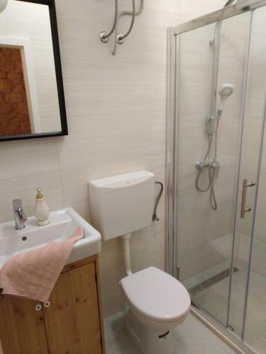 a bathroom with a shower and a toilet and a sink at Apartment Iris in Drasnice