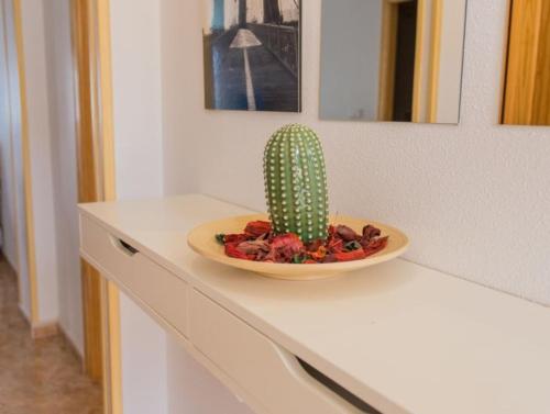 a cactus on a counter with a plate on it at APARTAMENTO D&L CON ENCANTO- EN LOS ALCÀZARES-Totalmente equipado in Los Alcázares