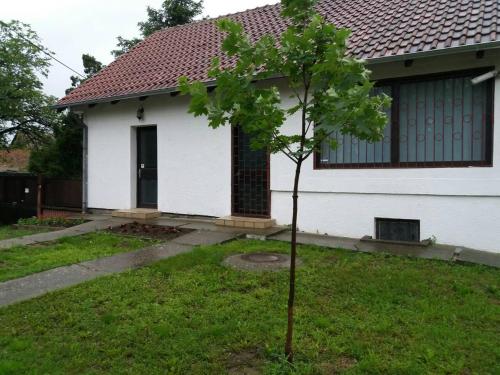 Κήπος έξω από το Apartman Romy