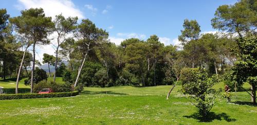 Κήπος έξω από το Studio meublé face au golf