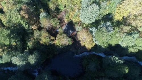 Casa Arbol – Photos 4