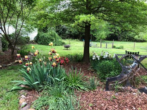 a park with a bench and flowers and a tree at Magnolia House & Gardens B&B in Clover