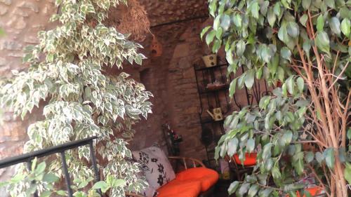 a room with two trees and an orange couch at The Pounti in Pyrgi