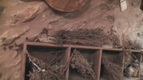 a building with a bird nest on the wall at The Pounti in Pyrgi