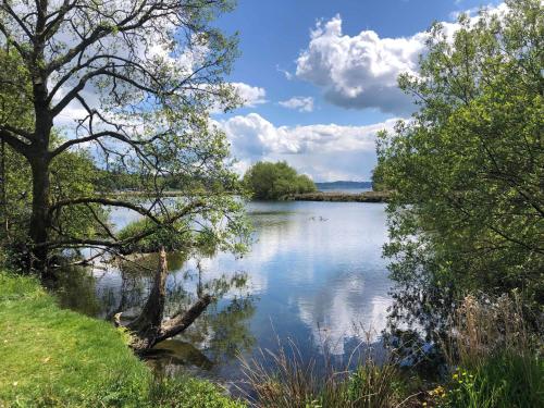 a view of a river with trees and water at Bracken Crag in Bowness-on-Windermere