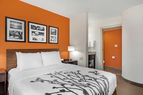 a bed in a hotel room with an orange wall at Sleep Inn DeWitt - Lansing North in DeWitt