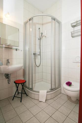 a bathroom with a shower and a toilet and a sink at Hotel am Waldschlösschen - Brauhaus in Dresden