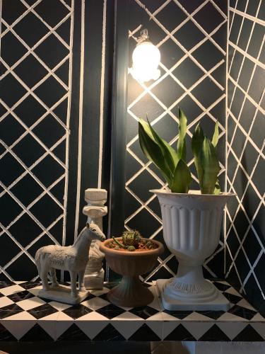 a table with a plant and a vase and a plant at At Night in Chumphon