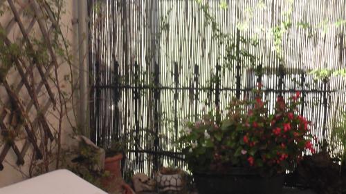 a room with a window with flowers and plants at The Pounti in Pyrgi