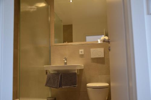 La salle de bains est pourvue d'un lavabo, de toilettes et d'un miroir. dans l'établissement Weingut Erbes-Henn, à Ürzig