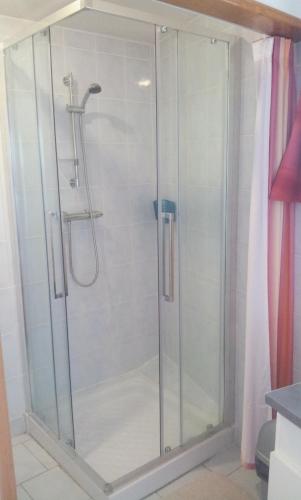 La salle de bains est pourvue d'une douche avec une porte en verre. dans l'établissement pasteur, à Cholet