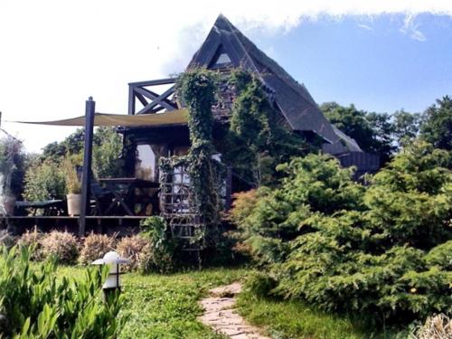 an old house with ivy growing on the side of it at Hoefthus 1 in Alt Reddevitz
