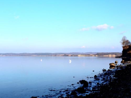 a large body of water with swans on the shore at Hoefthus 1 in Alt Reddevitz