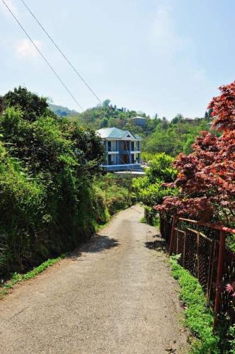 a dirt road with a house in the background at Guest House Botanical Paradise in Mtsvane Kontskhi