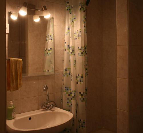 een badkamer met een wastafel en een douchegordijn bij Royal Studio Apartment in Boedapest