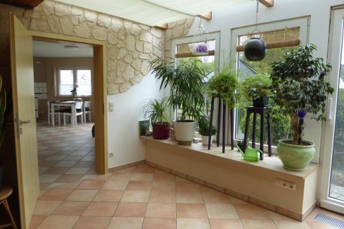 a room with potted plants on a shelf at Ferienwohnung Weitermann in Berg