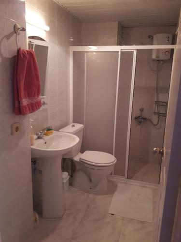 a bathroom with a toilet and a shower and a sink at Aygun Apart Daire in Mahmutlar