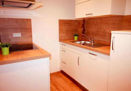 a kitchen with a sink and a white refrigerator at Black Forest Apartements by Hotel Grüner Baum Feldberg in Feldberg
