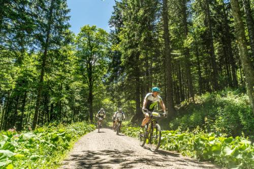 three people riding bikes down a dirt road at Black Forest Apartements by Hotel Grüner Baum Feldberg in Feldberg