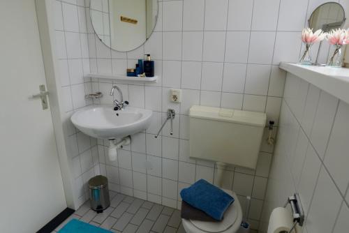 ein Badezimmer mit Toilette, Waschbecken und Spiegel in der Unterkunft Antibes 200- Kustpark Village Scaldia in Hoofdplaat