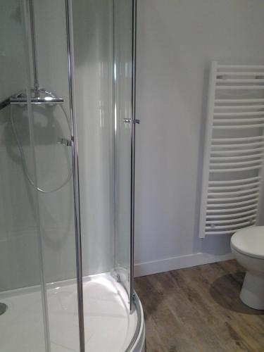 une salle de bain avec douche et toilettes dans l'établissement Chez Julien, à Montviron