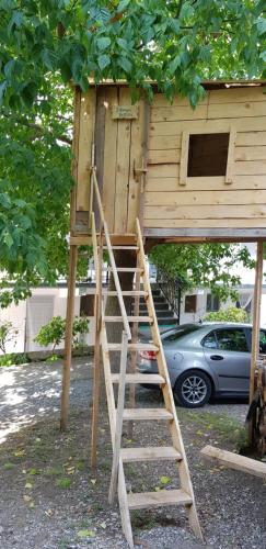 a ladder leading up to a tree house at ROOMS balani in Shkodër