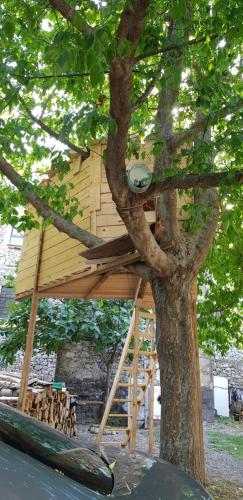 a wooden tree house in a tree at ROOMS balani in Shkodër