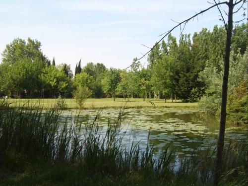a view of a pond with trees and a field at La Jacquemarie in Monteux