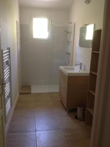 a bathroom with a sink and a shower and a mirror at La Jacquemarie in Monteux