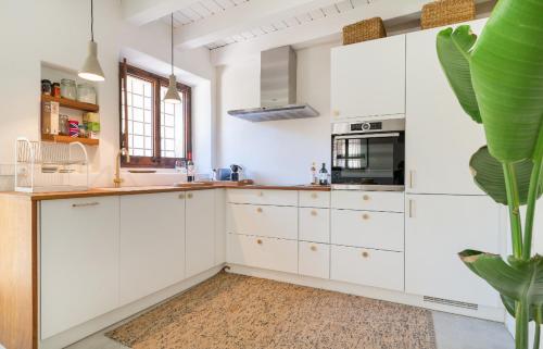 a kitchen with white cabinets and a potted plant at Casa Rei in Peratallada