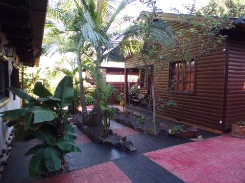 a house with a courtyard with trees and plants at Si Mi Capitán - Cabañas & Habitaciones in Puerto Iguazú