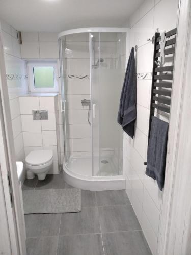 a bathroom with a shower and a toilet at Noclegi NAD NILEM in Zator