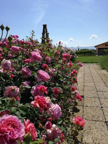 Zahrada ubytování Il Fienile di Assisi