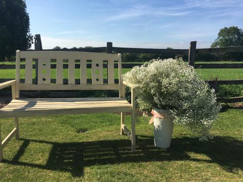 a wooden bench and a potted plant in the grass at Badgers Mount Hotel in Earl Shilton