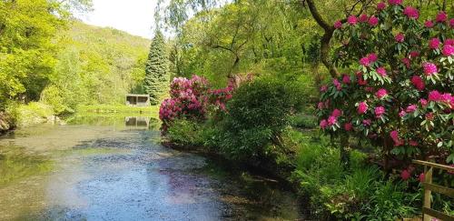 un dipinto di un fiume con fiori rosa e un ponte di No 4 Trelawney Apartment - Onsite Bar - Restaurant - Horse Riding a Menheniot