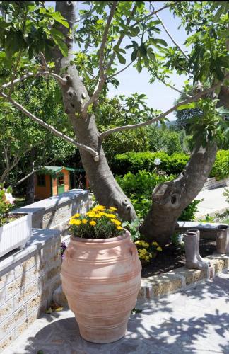 Κήπος έξω από το favoloso appartamento in villa