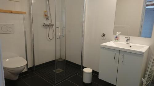 a bathroom with a shower and a sink and a toilet at Hjellup Fjordbo in Leksvik