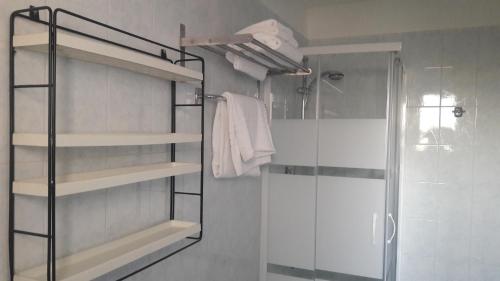 uma casa de banho com um chuveiro e uma cabina de duche em vidro. em Il Grifo Camere e Suites em Grosseto