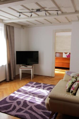 a living room with a couch and a flat screen tv at Hotel Burgwirt in Deggendorf