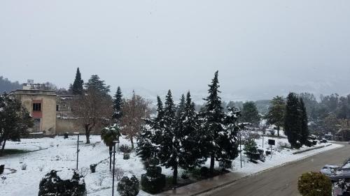 a snow covered street with trees and a building at KELI Guest House& Rafting Adventures in Përmet