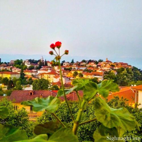 a red flower in front of a city at Sighnaghi Inn in Sighnaghi