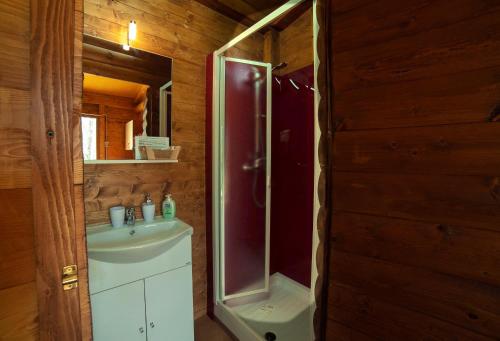 Rogliano的住宿－CHALET NEL BOSCO - TENUTA BOCCHINERI，一间带水槽、淋浴和卫生间的浴室