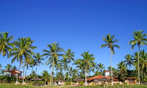um grupo de palmeiras e casas numa praia em POUSADA STELLA MARIS em Canavieiras