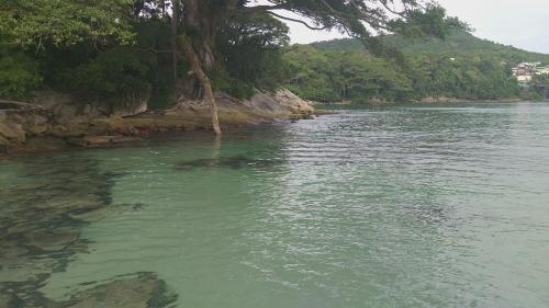 a river with green water and trees on the shore at Hospedagem 3 Estrelas in Navegantes