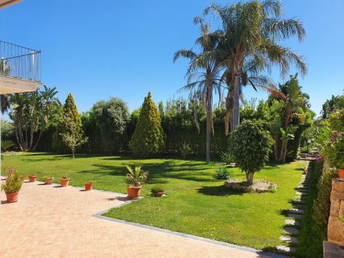 a garden with palm trees and a lawn with plants at Villa Antonella in Carlentini