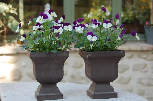 two vases filled with purple and white flowers on a table at Le Mas des Clots in Upie